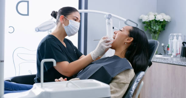 Best Dental Exams and Cleanings  in New Port Richey East, FL